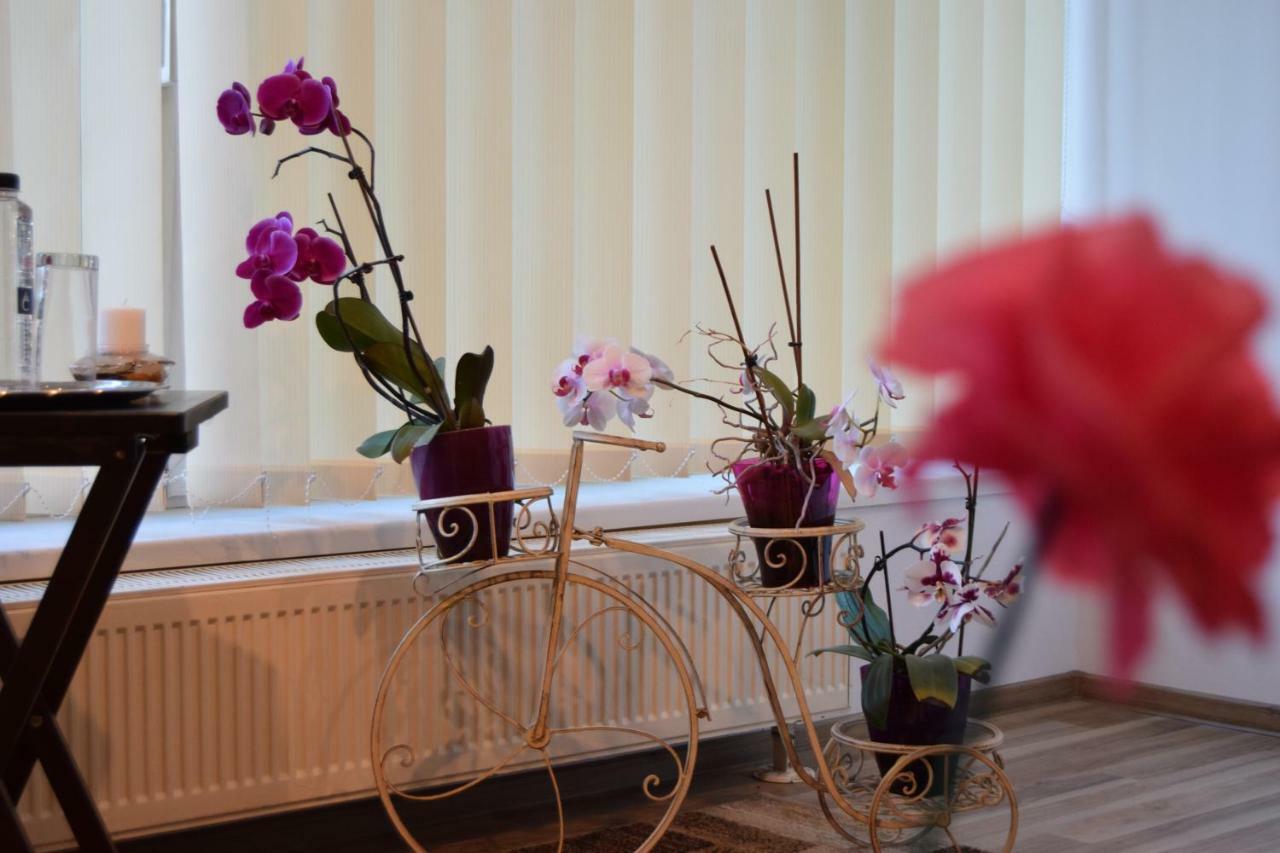 Central Appartment St'S Martin Church Braszów Zewnętrze zdjęcie
